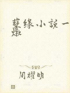 孽缘小说一家乱炖封面