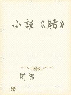 小说《赌》