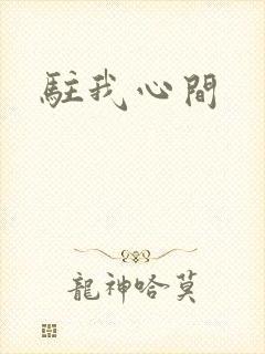 驻我心间