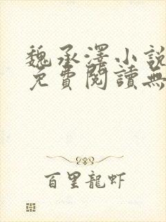 魏承泽小说全文免费阅读无弹窗笔趣