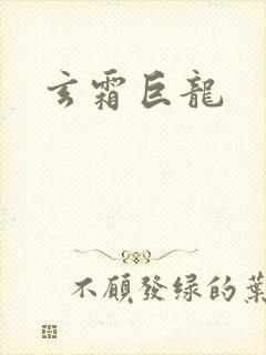 玄霜巨龙封面