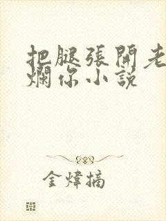 把腿张开老子臊烂你小说封面