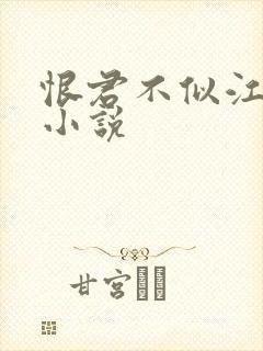 恨君不似江楼月小说