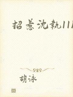 招惹沈执11h