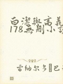 白洁与高义1～178无删小说