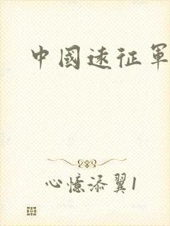 中国远征军小说