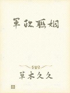 军政联姻
