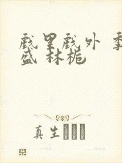 戏里戏外 季淮盛 林栀封面