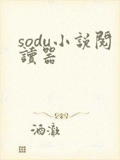 sodu小说阅读器封面