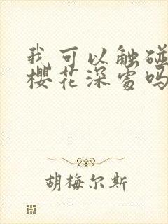 我可以触碰你的樱花深处吗封面