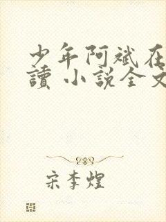 少年阿斌在线阅读 小说全文免费