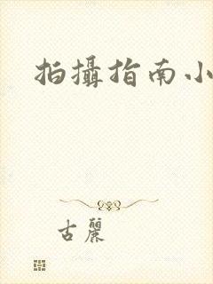 拍摄指南小说