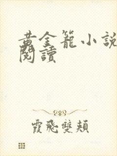 黄金笼小说免费阅读封面