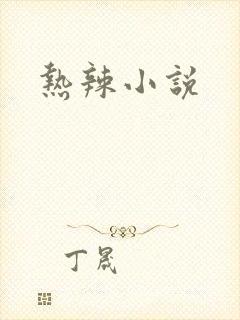 热辣小说