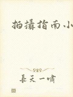 拍摄指南小说