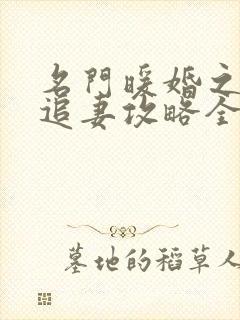 名门暖婚之权爷追妻攻略全文免费阅读