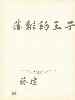 落难的王子封面