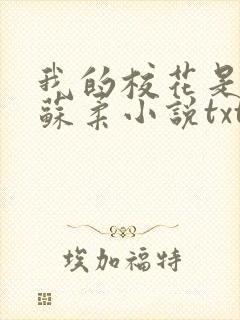 我的校花是福姬苏柔小说txt封面