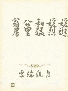 翁公和媛媛在厨房里猛烈进出