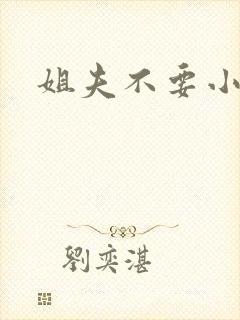 姐夫不要小说