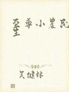 至尊小农民王木生