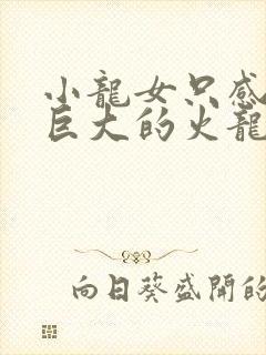 小龙女只感觉那巨大的火龙枪