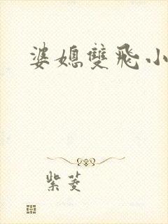 婆媳双飞小说