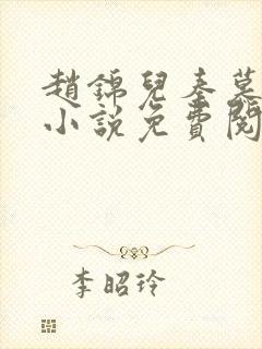 赵锦儿秦慕修的小说免费阅读全文封面
