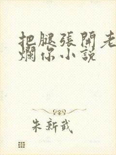 把腿张开老子臊烂你小说