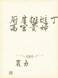 厨房挺进丁字裤高官贵妇