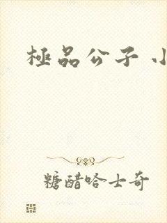 极品公子 小说