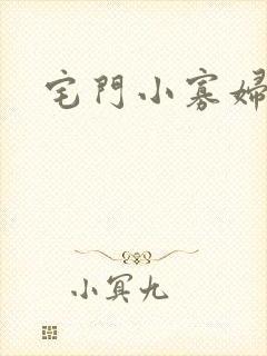 宅门小寡妇