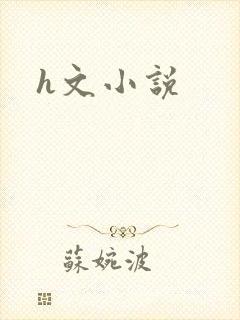 h文小说封面