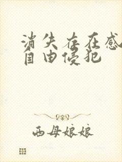 消失存在感消失自由侵犯封面