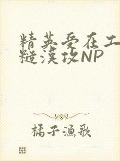 精英受在工地被糙汉攻NP封面