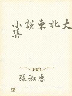 小说东北大炕全集封面