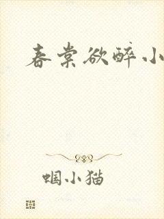 春棠欲醉小说