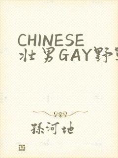 CHINESE壮男GAY野战强迫TUBE封面