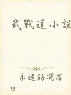 武战道小说封面
