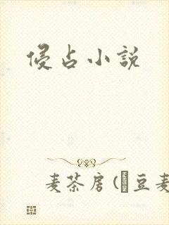 侵占小说