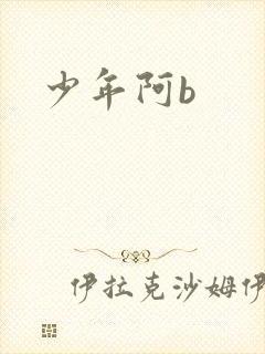 少年阿b