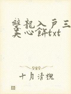 双龙入户三人行夹心饼txt