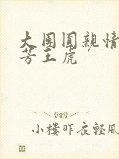 大团圆亲情会王芳王虎封面