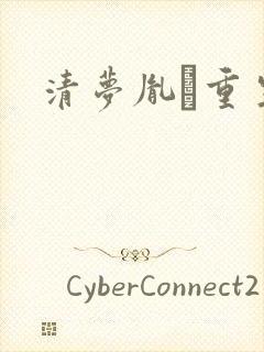 清梦胤礽重生