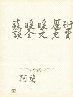 苏暖暖厉衍琛小说全文免费阅读封面