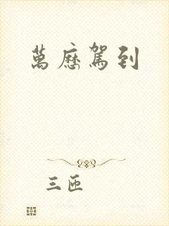 万历驾到封面