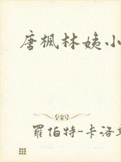 唐枫林姨小说