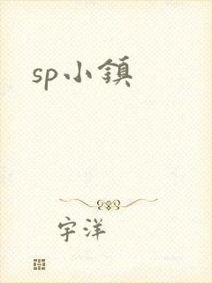 sp小镇封面