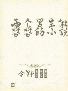 两个男生做酿酿酱酱的小说