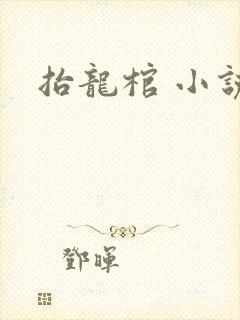 抬龙棺 小说